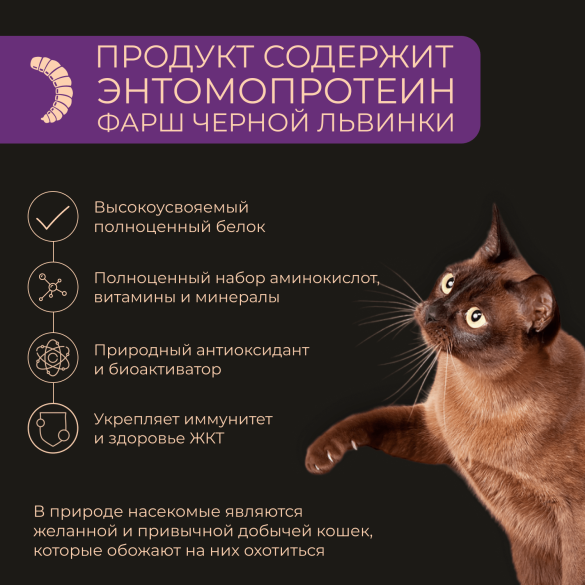 100гр Корм Yumster для стерилизованных кошек, паштет с Телятиной и Почками