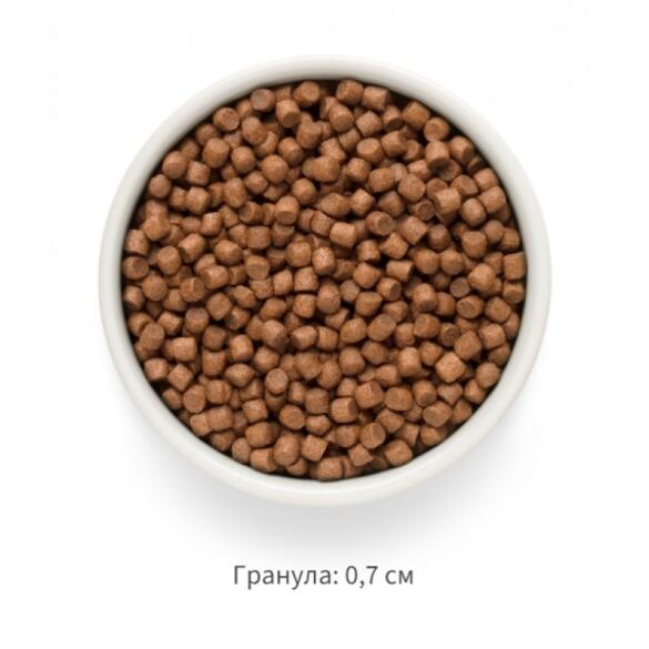 3кг Корм GRANDORF DOG Fresh Salmon&Sweet Potato Adult Mini беззерновой гипоаллергенный для собак мелких пород, Лосось с Бататом