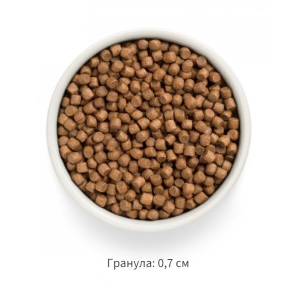 3кг Корм GRANDORF DOG Fresh Lamb&Sweet Potato Puppy беззерновой гипоаллергенный для щенков всех пород с 3 недель, беременных и кормящих собак, Ягненок с Бататом
