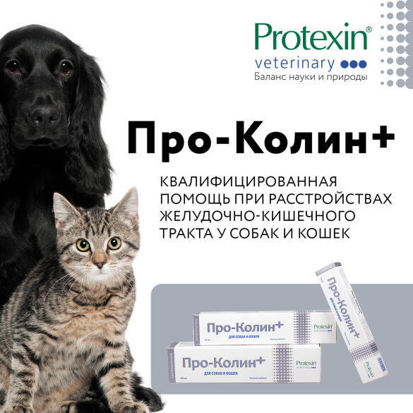 Проколин Protexin пробиотик для собак и кошек, 15мл