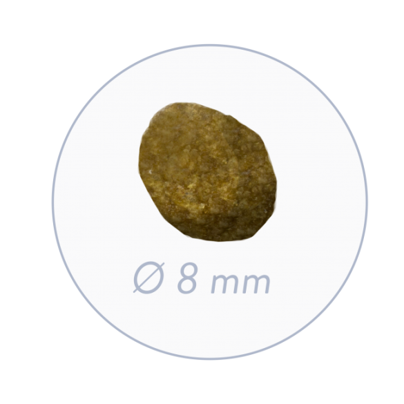0,4кг Корм Bosch Sanabelle Adult with trout для взрослых кошек с Форелью