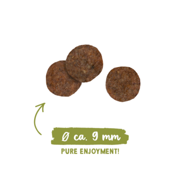 0,4кг Корм Bosch Sanabelle No Grain беззерновой для взрослых кошек с Курицей