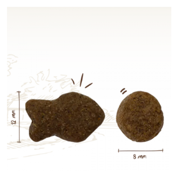 3кг Корм Bosch Adult для взрослых собак всех пород с Рыбой и картофелем