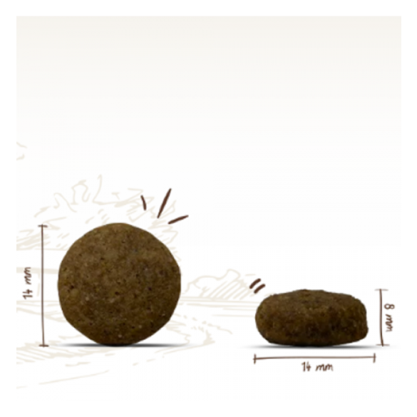 12,5кг Корм Bosch Special Light для взрослых собак всех пород со склонностями к проблемам мочеполовой системы с Птицей и рисом