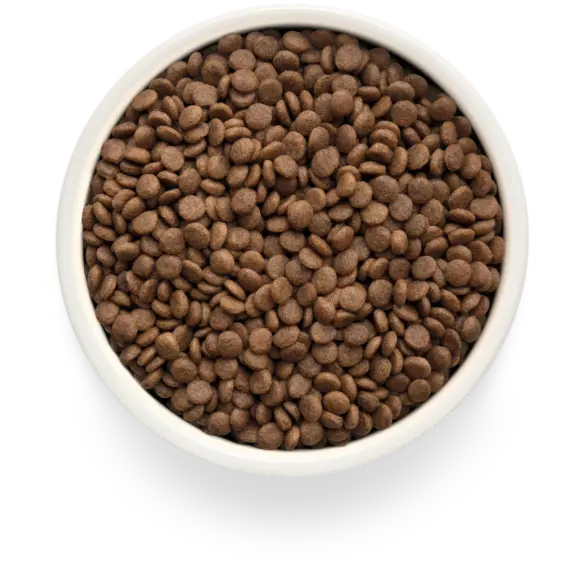 2кг Корм GRANDORF CAT Fresh Duck&Sweet Potato ADULT STERILISED для взрослых стерилизованных кошек с Уткой и бататом