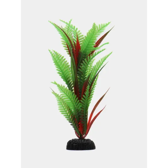 Растение Aquatic plant для аквариума Папоротник зелёный, 10см