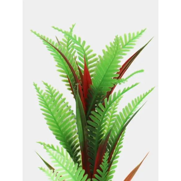 Растение Aquatic plant для аквариума Папоротник зелёный, 10см