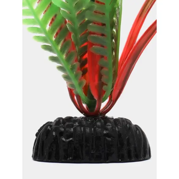 Растение Aquatic plant для аквариума Папоротник зелёный, 10см