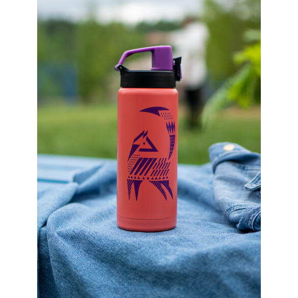 Термос-сититерм вакуумный Арктика Лиса, 500мл