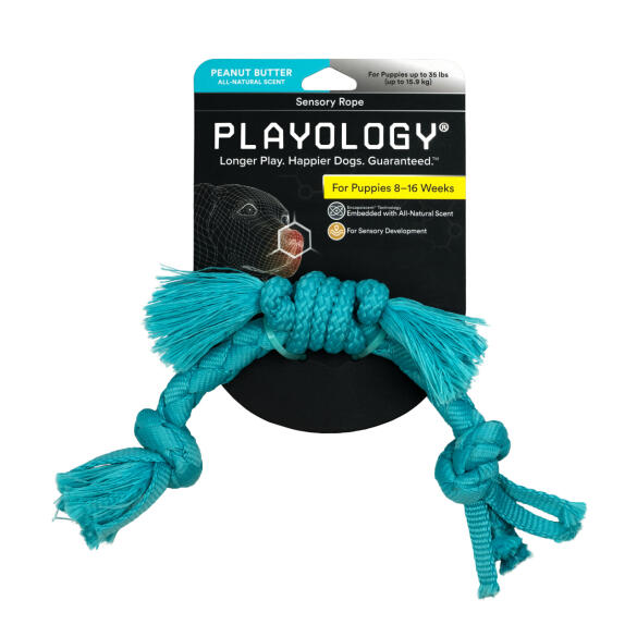 Игрушка Playology PUPPY SENSORY ROPE сенсорный канат для щенков мелких и средних пород с ароматом арахиса, Голубой