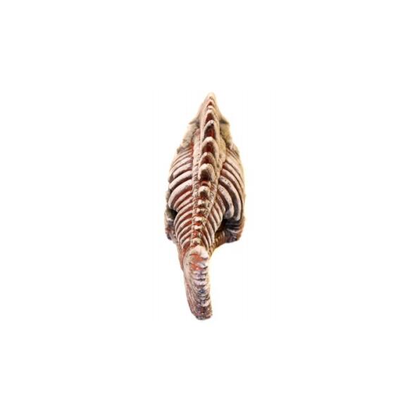 Грот Deksi Скелет рыбы №903, 33*22*14см