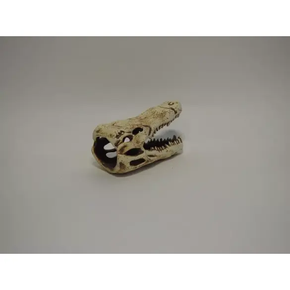 Декорация из светлой керамики Череп крокодила, 13*7см