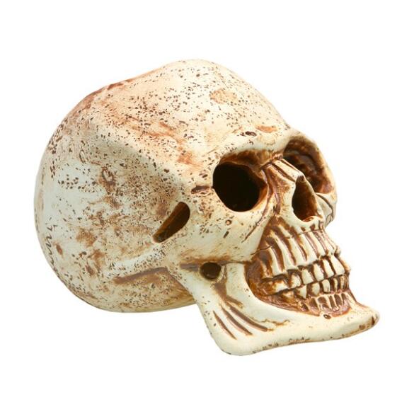 Декорация из светлой керамики Череп, 12*13,5см