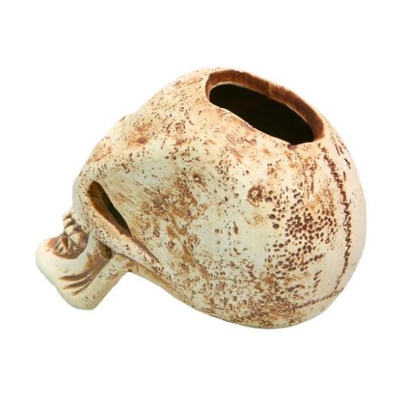 Декорация из светлой керамики Череп, 12*13,5см