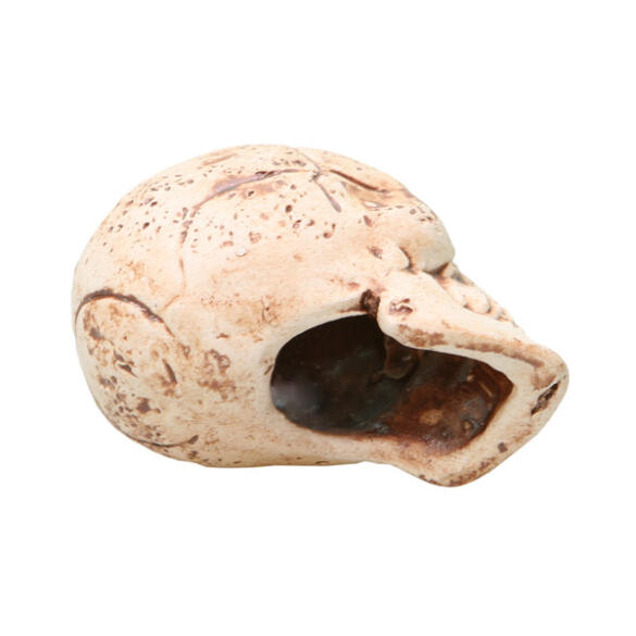 Декорация из светлой керамики Черепок, 3*3,5см