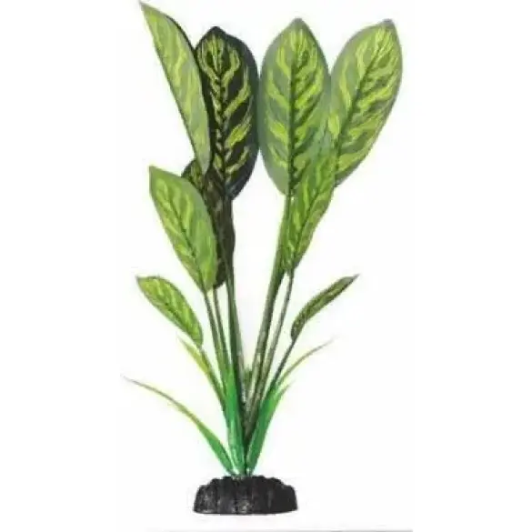 Растение Aquatic plant для аквариума Дифинбахия зеленая, 16см
