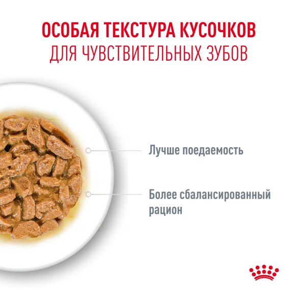 85гр Влажный корм ROYAL CANIN Ageing +15 для взрослых кошек в возрасте 15 лет и старше, кусочки в соусе