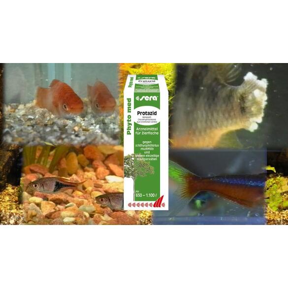 SERA Phyto Med Protazid 100мл против кожных паразитов