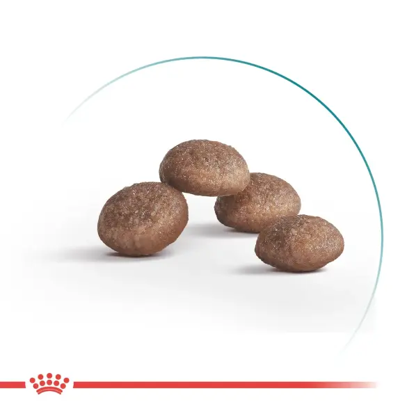 0,4кг Корм ROYAL CANIN Sterilized +11 для кошек старше 11 лет