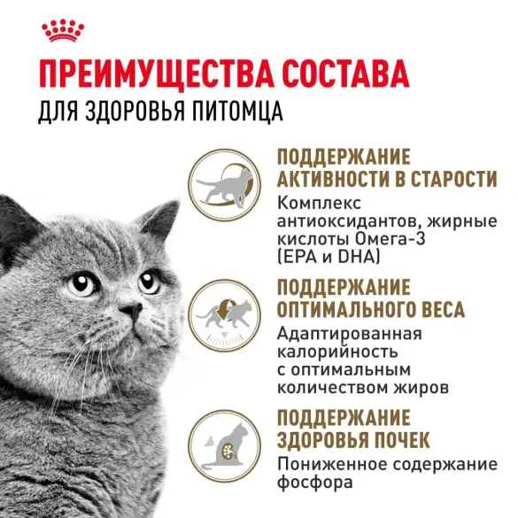 4кг Корм ROYAL CANIN Ageing+12 для взрослых кошек старше 12 лет