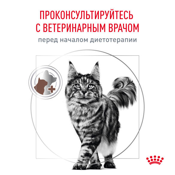 0,35кг Корм ROYAL CANIN Gastrointestinal Hairball диета для взрослых кошек при нарушениях пищеварения, вызванного наличием волосяных комочков