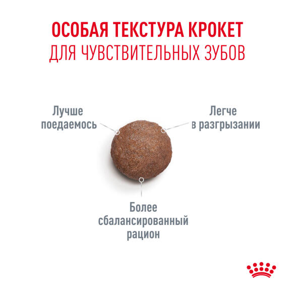 4кг Корм ROYAL CANIN Ageing 11+ для кошек старше 11 лет