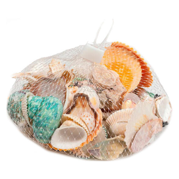Декорация Barbus ФРУКТЫ МОРЯ ракушка Малая, 1шт