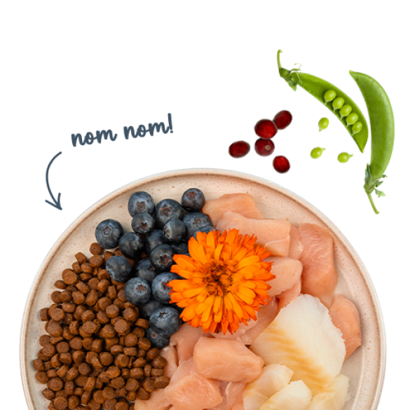 1+1 0,4кг Корм Bosch Sanabelle Adult mit Forelle & Blaubeeren Life для взрослых кошек с Форелью