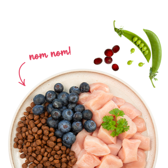 1+1 0,4кг Корм Bosch Sanabelle Adult Huhn & Blaubeeren Life для взрослых кошек с Курицей