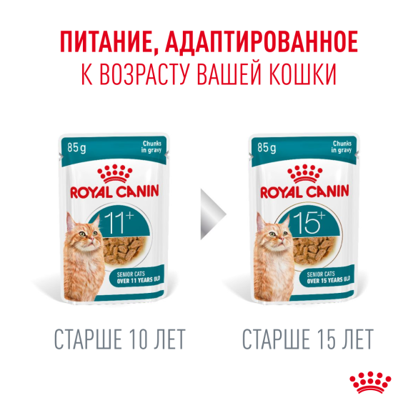 85гр Влажный корм ROYAL CANIN Ageing +11 для взрослых кошек старше 11 лет кусочки в желе