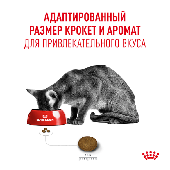 4кг Корм ROYAL CANIN Fussy Exigent для взрослых привередливых кошек