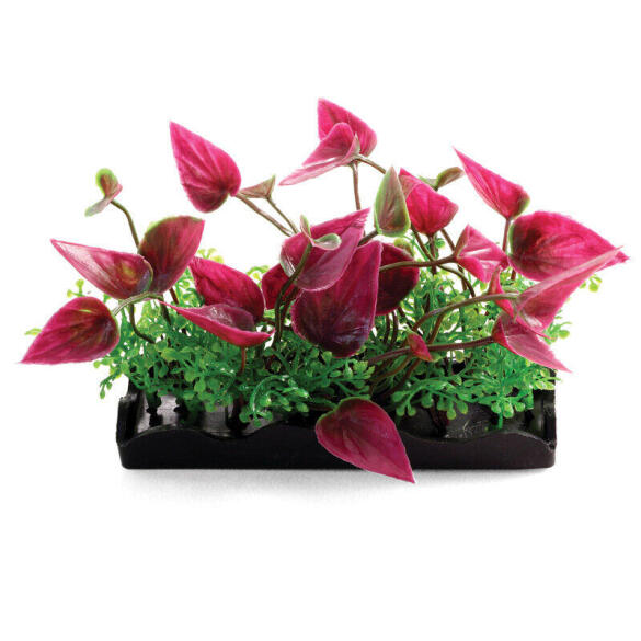 Декорация Laguna AQUA для аквариума Растение пластиковое, 80мм, 5шт