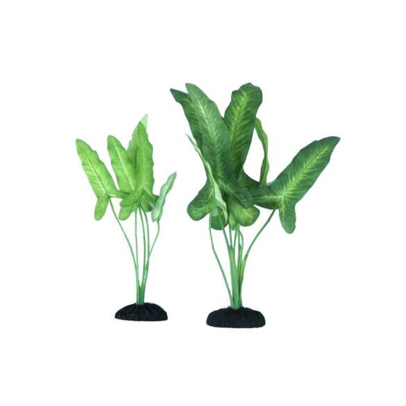 Растение аквариумное шелковое Анубиас Жилле, 20см