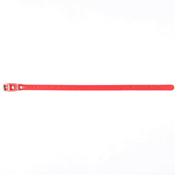 Ошейник Mr.Kranch для собак из натуральной кожи Красный, 17-20см