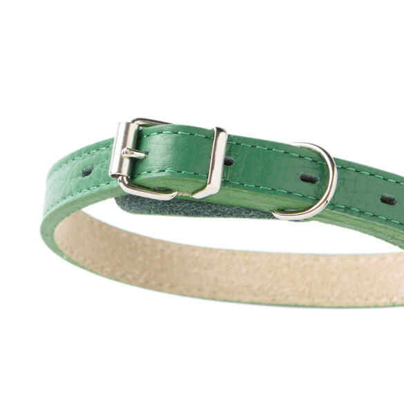 Ошейник Mr.Kranch для собак из натуральной кожи Зеленый, 17-20см