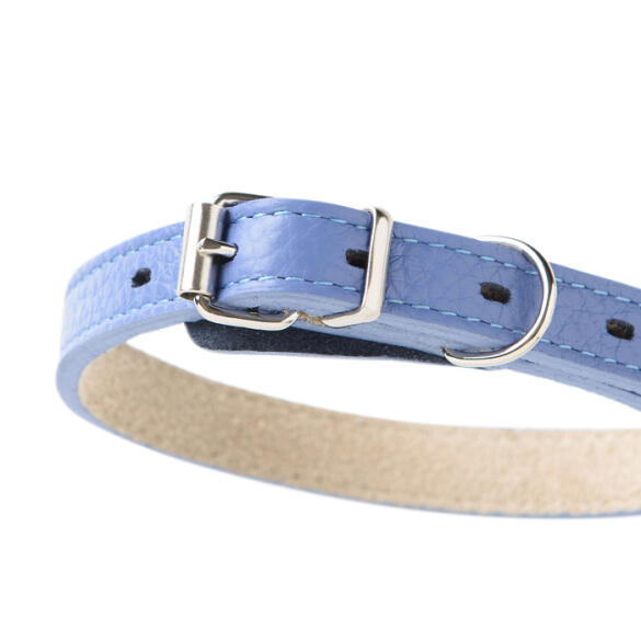 Ошейник Mr.Kranch для собак из натуральной кожи Васильковый, 20-25см