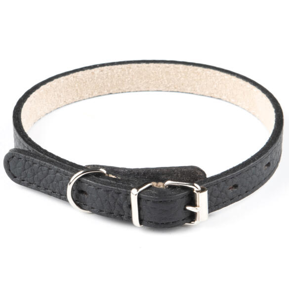 Ошейник Mr.Kranch для собак из натуральной кожи Чёрный, 24-30см