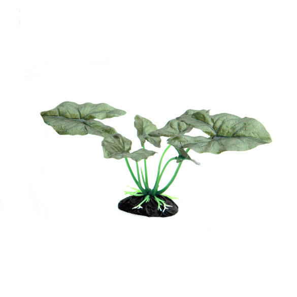 Растение аквариумное шелковое Сингониум, 10см