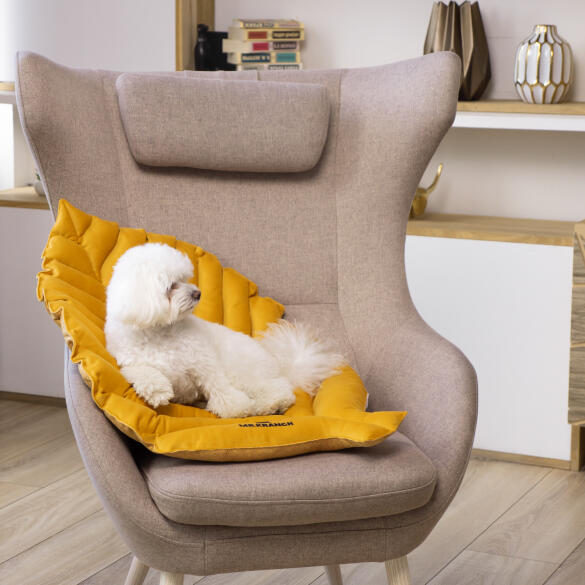 Лежанка Mr.Kranch для собак Листочек большая, 120*73*6см, охра