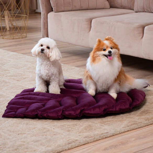 Лежанка Mr.Kranch Листочек для собак Фиолетовая, 120*73*6см