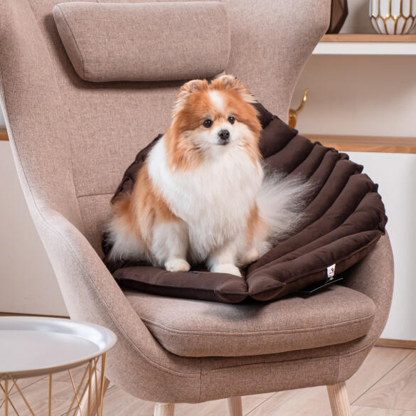 Лежанка Mr.Kranch Листочек для собак Коричневая, 90*65*5см