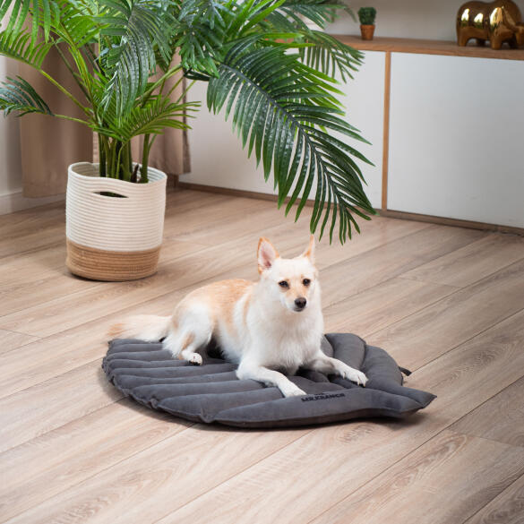Лежанка Mr.Kranch для собак Листочек средняя, 90*65*5см, серая