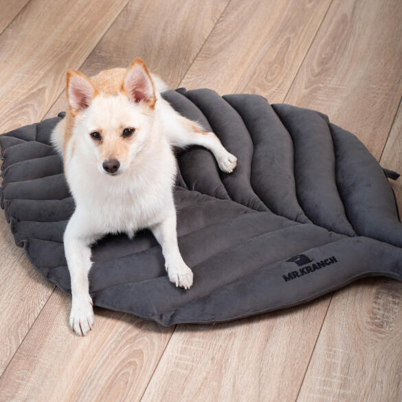 Лежанка Mr.Kranch для собак Листочек средняя, 90*65*5см, серая