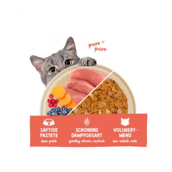 100г Влажный корм Sanabelle Freshe Mieze Топпинг для взрослых кошек Индейка с курицей