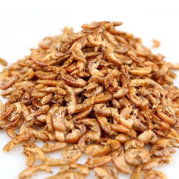 15г Корм сухой, Гаммарус