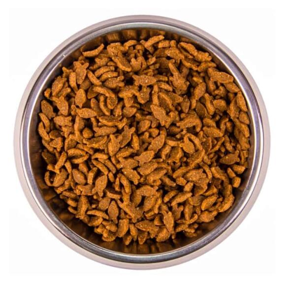 1,5кг Корм Monge Cat Monoprotein Adult Salmon для взрослых кошек с Лососем