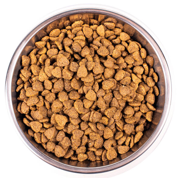 1,5кг Корм Monge Cat Indoor для домашних кошек с Курицей