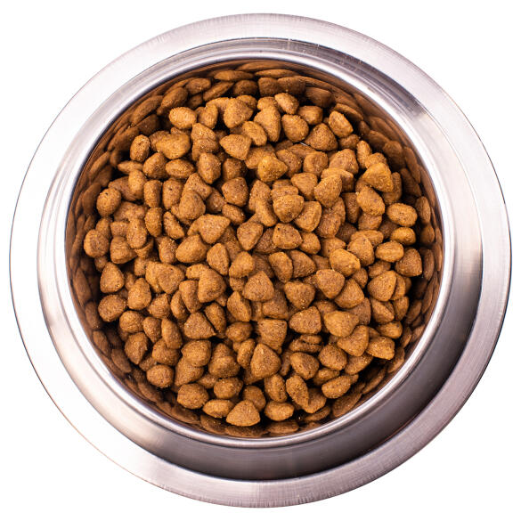 12кг Корм Monge VetSolution Dog Hepatic Ветеринарная диета для собак с заболеваниями печени