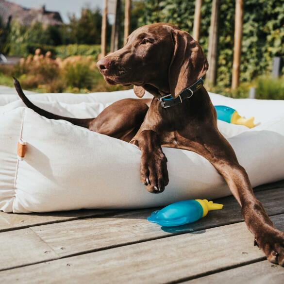 Игрушка Hunter Toy Dog Aqua Alaska Octopus охлаждающая для собак