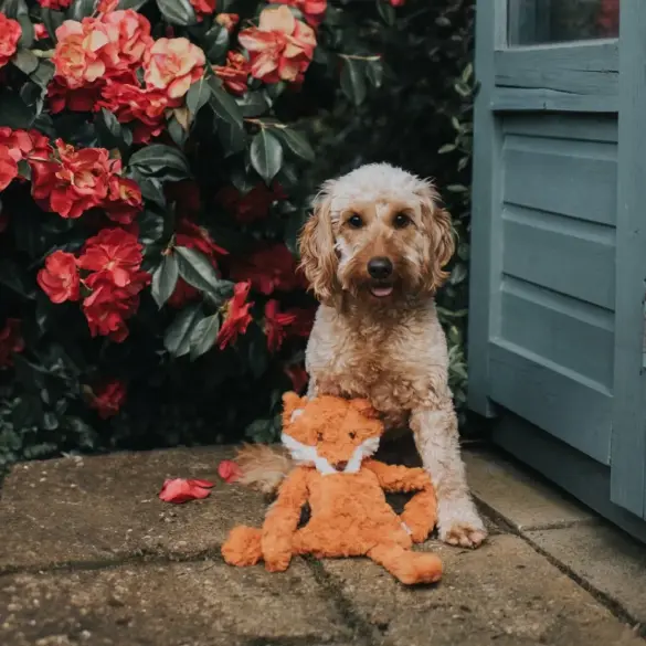 Игрушка MY DOG Лиса-шуршалка для собак с кармашком, 40см